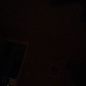 Meet your Posher, Traci